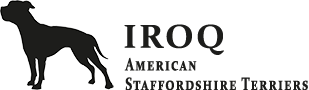 Iroq Amstaffs